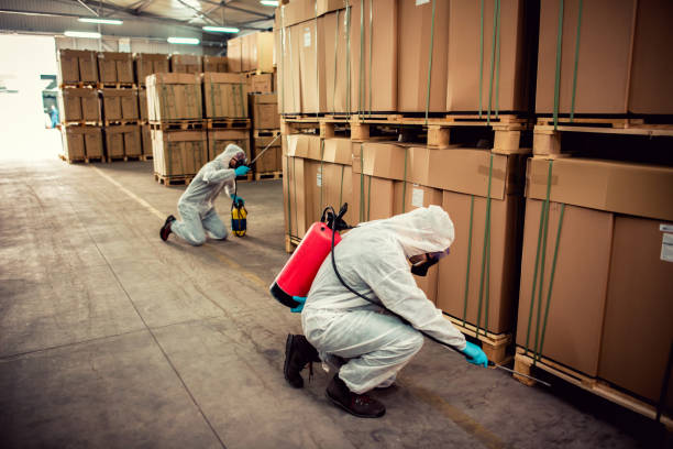 Best Affordable Pest Control Services  in Gulf Hills, MS