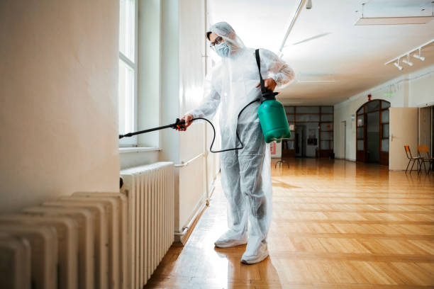 Flea Control Services in Gulf Hills, MS