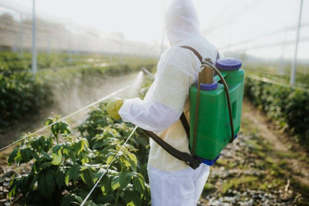 Best Pest Control Treatment  in Gulf Hills, MS